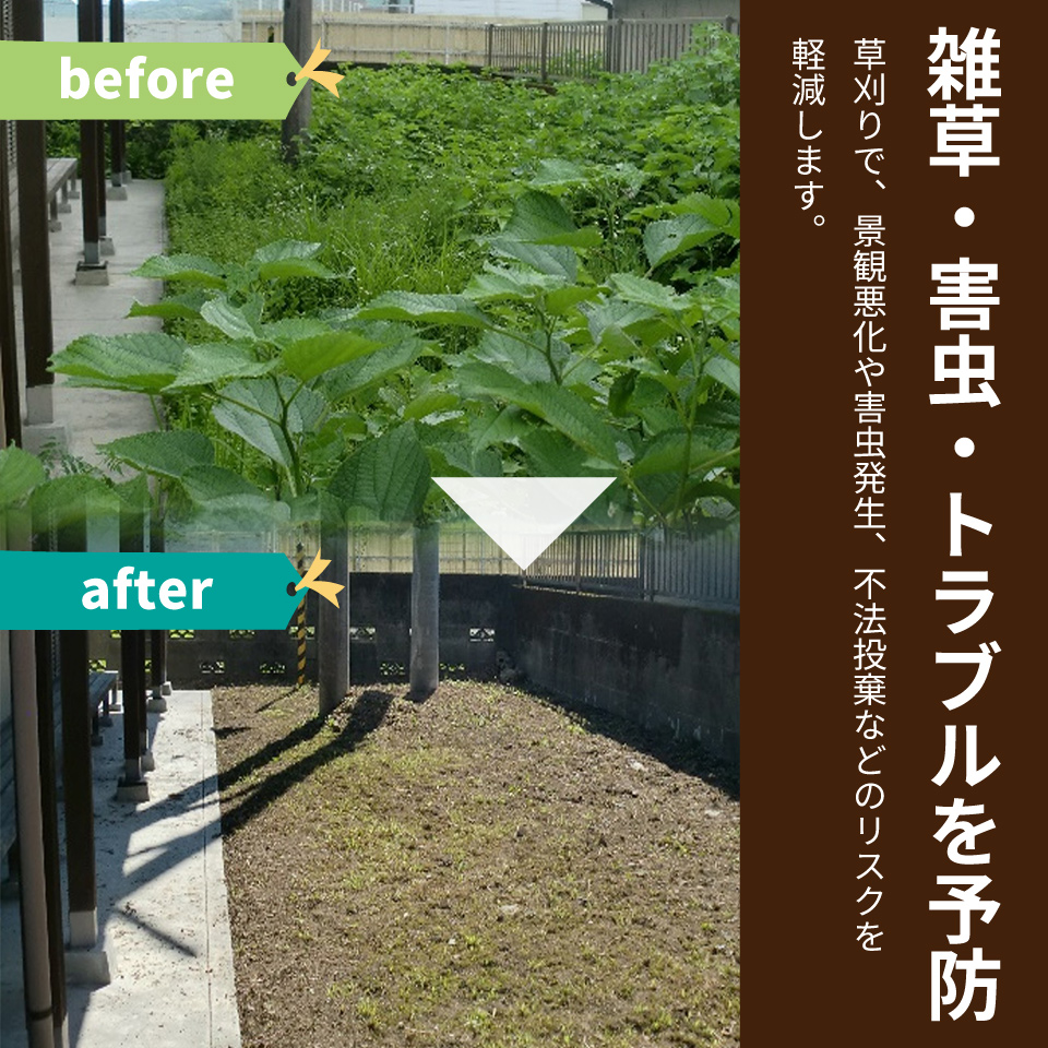 ã空ãå°ïŒçïŒã®èåã代è¡ãµãŒãã¹ çŽ10åªïŒããã33å¹³æ¹ã¡ãŒãã«ãŸã§ïŒãäœå·çºã®åå°éå® äºåã«ãåãåãããã ãã