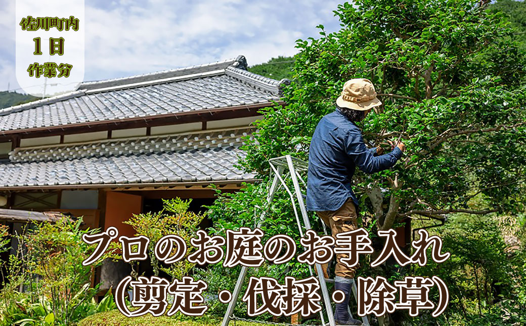 【庭のお手入れ　剪定・伐採・除草】庭づくり 庭木 植木 創樹園 管理 施工 サービス 作業場は佐川町限定 実家が佐川町にある方におすすめ