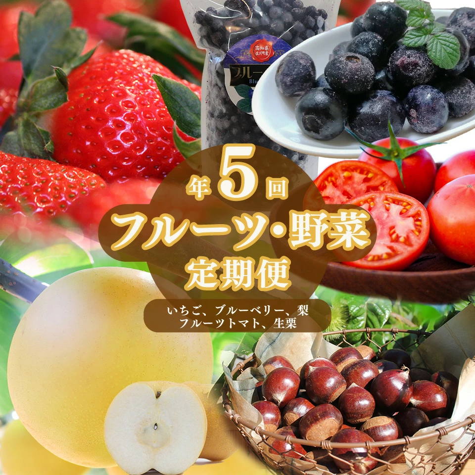 ＜佐川のフルーツ・野菜 定期便（全５回）＞　いちご 苺 冷凍ブルーベリー フルーツトマト 梨