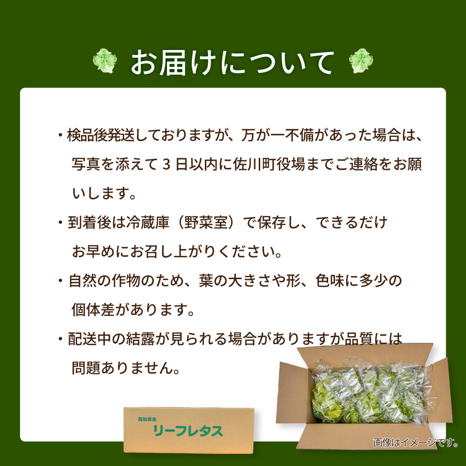 ＜佐川町産 リーフレタス 5袋＞水耕栽培 野菜 高知 新鮮 西村農園