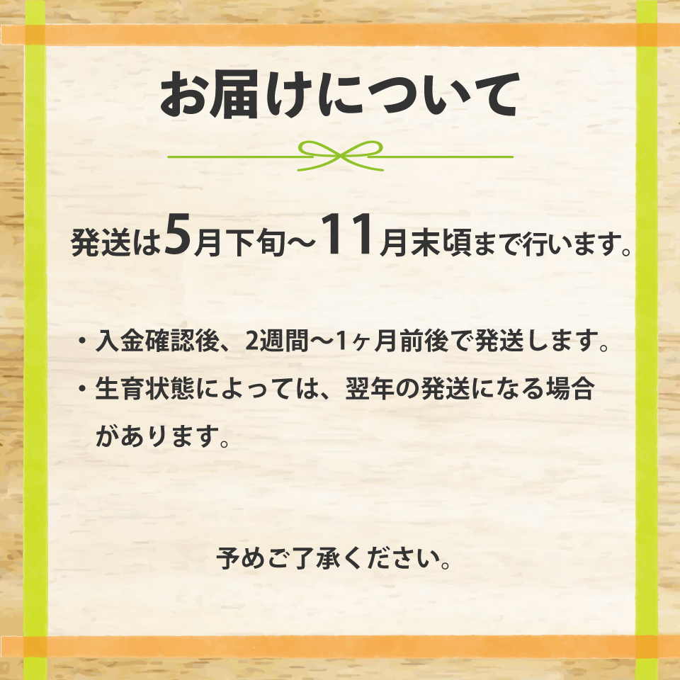 ＜ピーマン＞1kg さらら 高知 野菜 夏 苦みが少ない 佐川町産 ＜2025年5月下旬以降発送＞