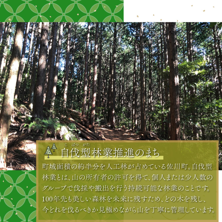 【訳あり品】乾燥 薪 15kg まきのまき 針葉樹 野外用 キャンプ 焚火 まき ヒノキ・杉 火付け用に最適
