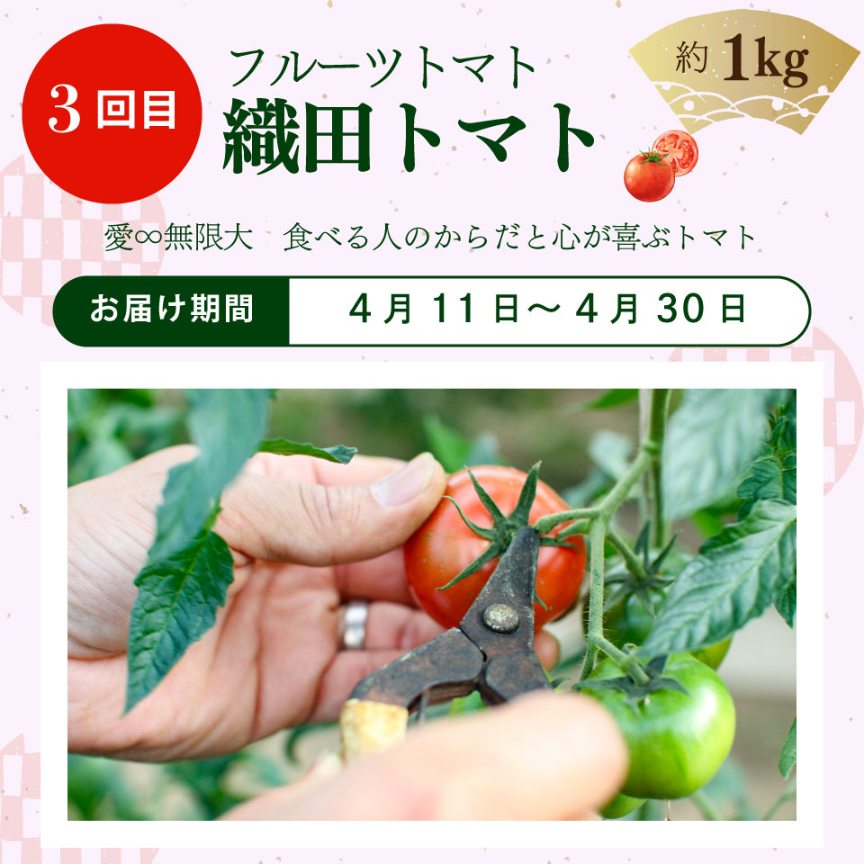 ïŒãã«ãŒãããã èšïŒå å®æäŸ¿ïŒ ïŒèŸ²å®¶ãããªã¬ãŒã§ãå±ã