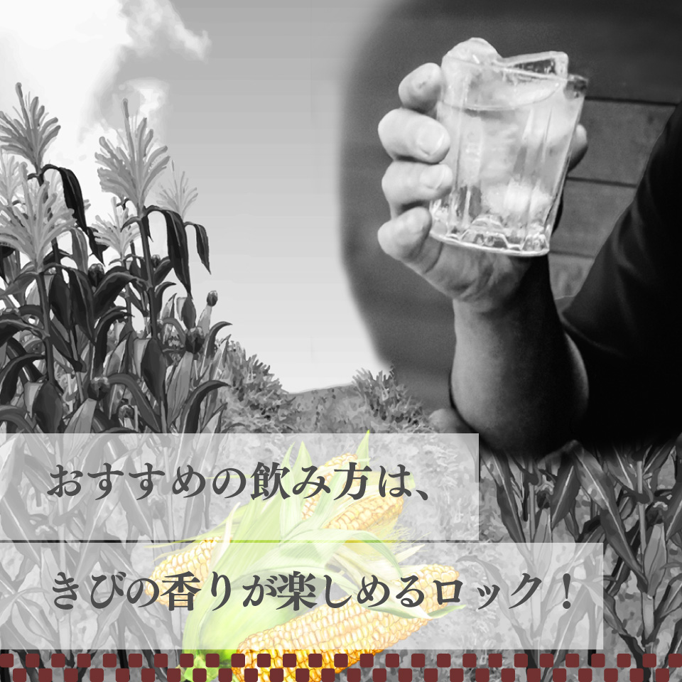 ãåžç¡äž¹é
é ãã³çŒé
500mlÃ2æ¬ã倧å€é
20床 30å¹Žçæ æ°ééå® ç¶ã®æ¥ æ¯ã®æ¥ é«ç¥ èŽç ã®ãã ãã¬ãŒã³ã