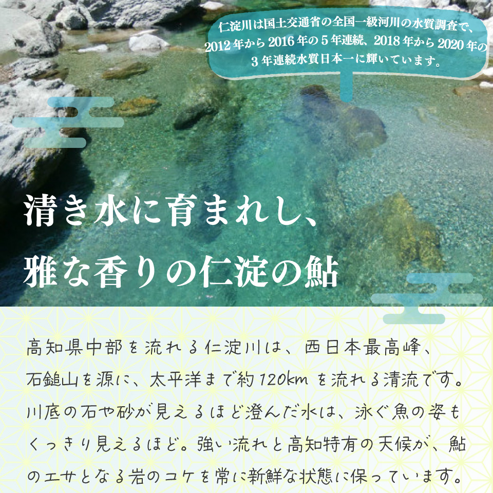 æåæäºãçµ¶è³ïŒé®å±ä»æ·å·ã®ä»æ·ãã«ãŒåé£ã倩ç¶é® çŽ500g