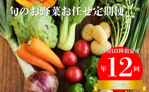 【年12回】高知から直送！旬の季節のお野菜定期便（7~10品）
