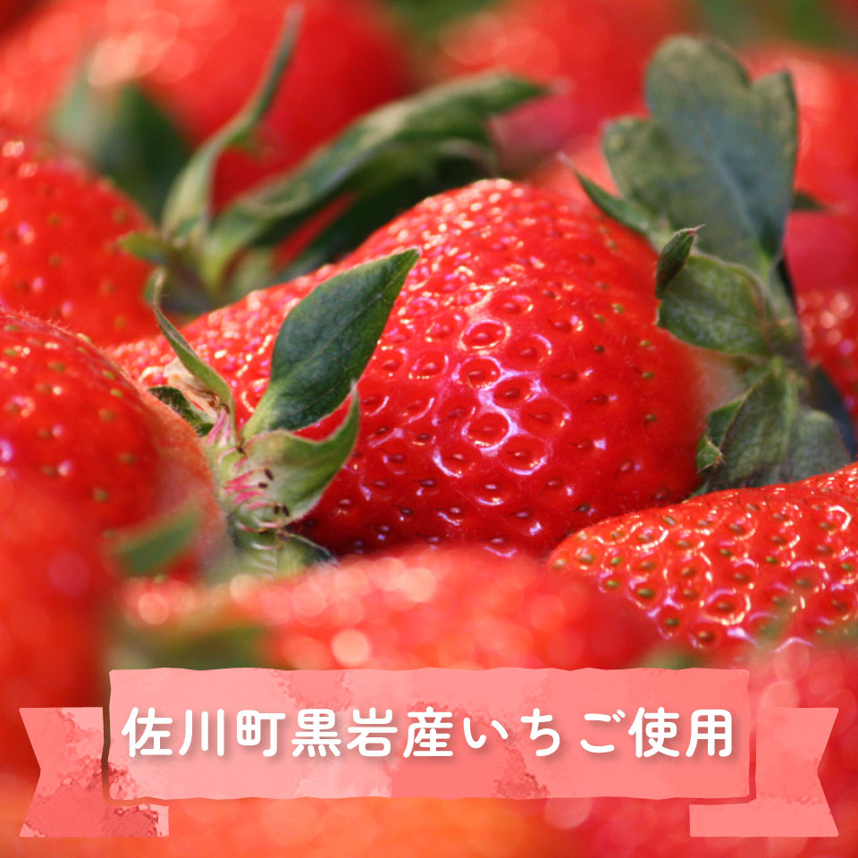 【いちごプリン 150g×6個】 まきのさんの道の駅・佐川 オリジナル商品 限定販売 佐川町黒岩地区の苺使用 お土産に人気
