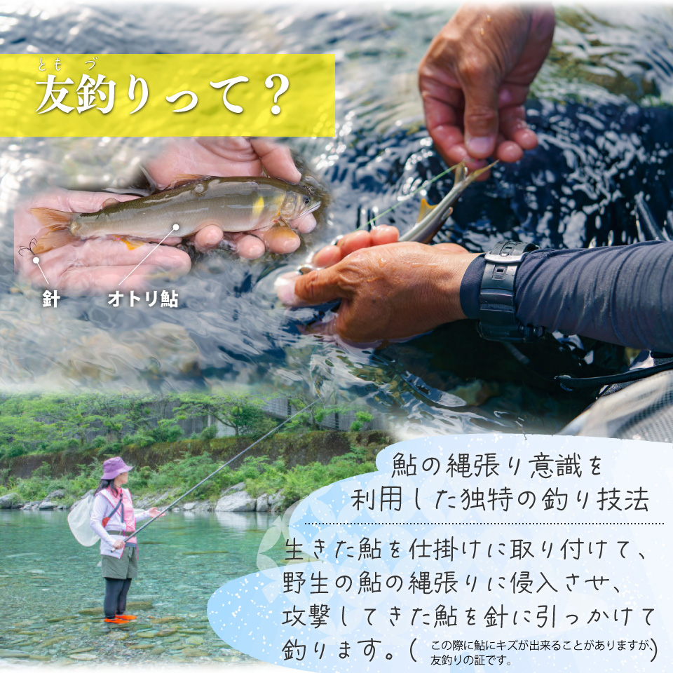 æåæäºãçµ¶è³ïŒé®å±ä»æ·å·ã®ä»æ·ãã«ãŒåé£ã倩ç¶é® çŽ1,000g