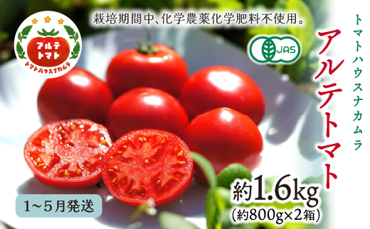【2026年1月～5月頃発送】＜アルテトマト 約1.6kg（20-35玉）＞ フルーツトマト 高知県 佐川町 トマトハウスナカムラ 野菜 贈答用　リピーター多数 高糖度 ギフト　栽培期間中化学農薬不使用