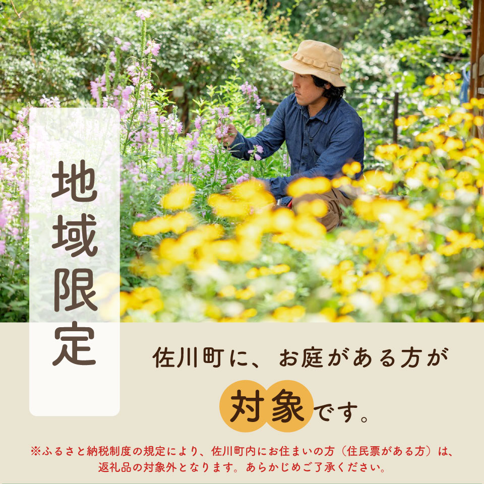 【庭のお手入れ　剪定・伐採・除草】庭づくり 庭木 植木 創樹園 管理 施工 サービス 作業場は佐川町限定 実家が佐川町にある方におすすめ