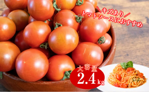 [12月〜8月頃発送][約2.4kg] 訳あり アイメック フルティカ トマト]ましまファーム ミニトマト フルーツトマト [常温]送料無料 ワケあり 規格外