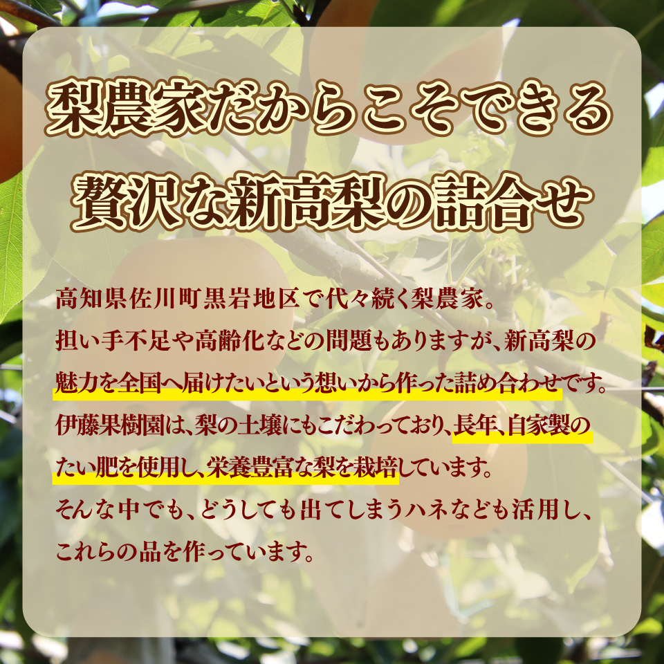 ＜新高梨 ジャム エキス ドロップ 詰め合わせ ＞梨 あめ 飴 梨飴 のどに潤い ギフト 常温 黒岩 フルーツ 梨農家から直送 梨加工品