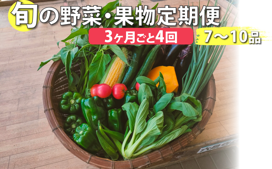 ＜年4回定期便＞ はちきんの店 野菜 セット 7~10品