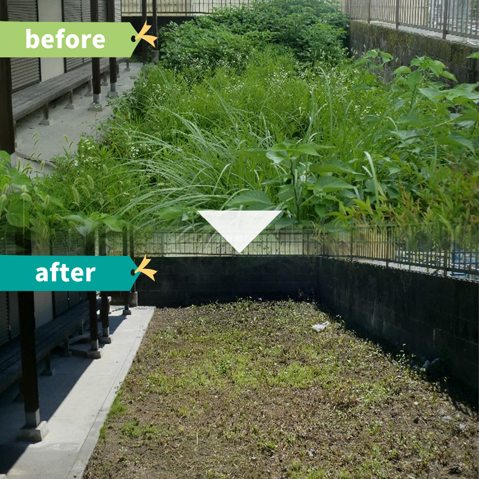 ã空ãå°ïŒçïŒã®èåã代è¡ãµãŒãã¹ çŽ10åªïŒããã33å¹³æ¹ã¡ãŒãã«ãŸã§ïŒãäœå·çºã®åå°éå® äºåã«ãåãåãããã ãã