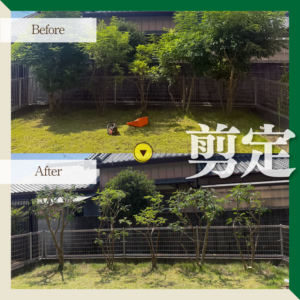 【庭のお手入れ　剪定・伐採・除草】庭づくり 庭木 植木 創樹園 管理 施工 サービス 作業場は佐川町限定 実家が佐川町にある方におすすめ