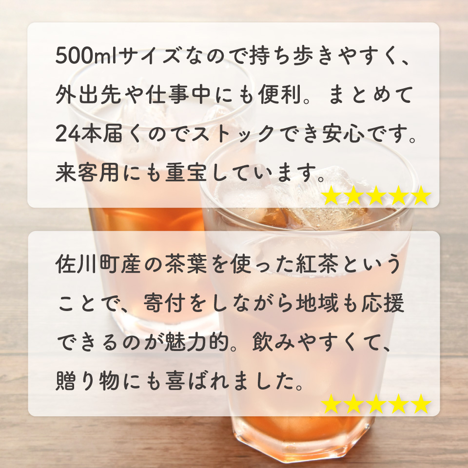 土佐の紅茶 無糖 500ml×24本 1ケース ペットボトル PET お茶 土佐茶 高知 JA高知県 佐川町産茶葉使用