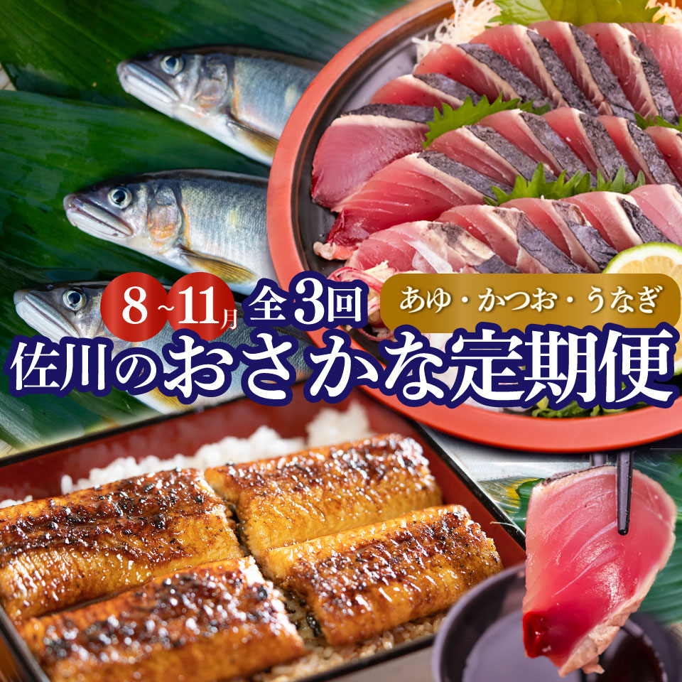 ＜年3回【さかわのお魚定期便（配送月：8月～11月）】うなぎ　かつおのタタキ　鮎＞鰹のタタキ 高知県 大正軒 鮎屋仁淀川 西村商店 かつおのたたき 鰻蒲焼き あゆ