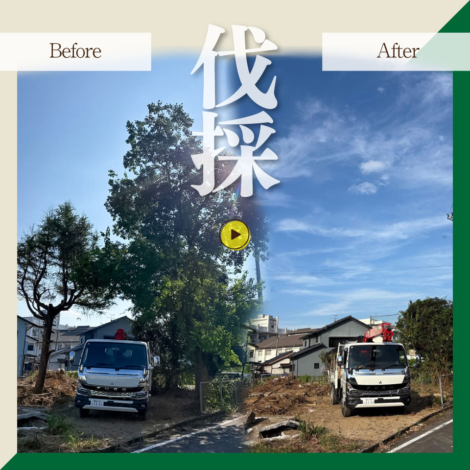 【庭のお手入れ　剪定・伐採・除草】庭づくり 庭木 植木 創樹園 管理 施工 サービス 作業場は佐川町限定 実家が佐川町にある方におすすめ