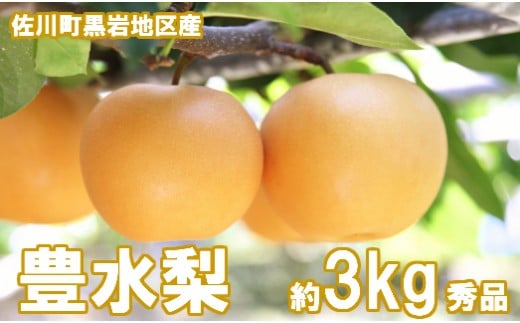 <2026年 9月上旬頃より発送予定>　豊水梨（約3kg／4～7玉）黒岩　佐川町