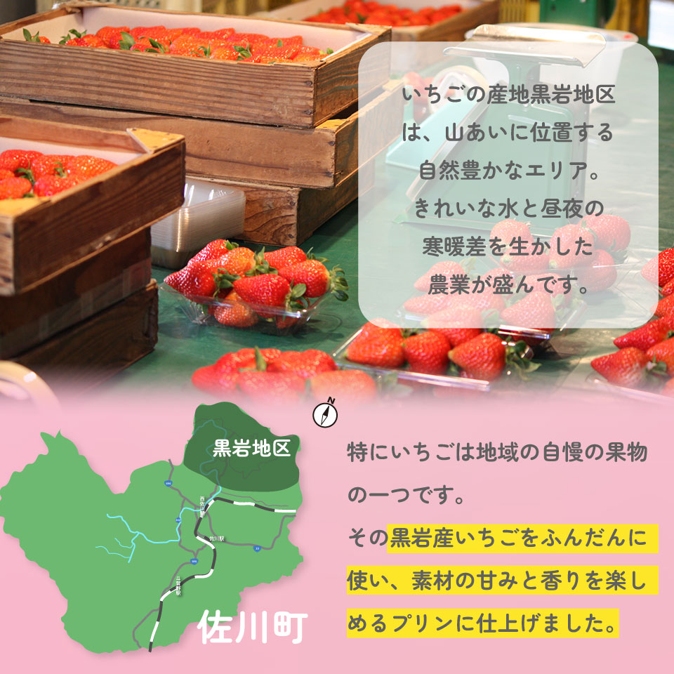 【いちごプリン 150g×6個】 まきのさんの道の駅・佐川 オリジナル商品 限定販売 佐川町黒岩地区の苺使用 お土産に人気