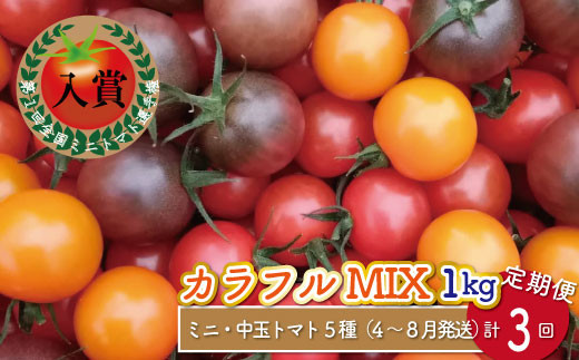 [4月〜8月頃発送][約1kg×3回 定期便 ]カラフルトマト アイメック トマト 5種 MIX フルティカ ]ましまファーム ミニトマト フルーツトマト ミックス[常温]送料無料 糖度訳あり