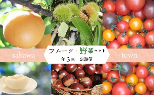 【年3回】フルーツ・野菜定期便　果物　梨　栗　生栗　和梨　高糖度トマト