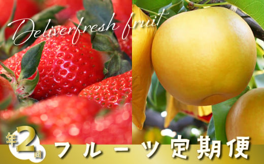 （全2回）佐川町産フルーツ 定期便 　いちご 梨