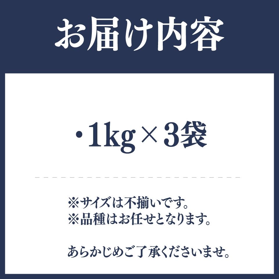 【ブルーベリー（冷凍）3kg】＜発送まで最大で４～６ヶ月程度お待たせする事があります＞