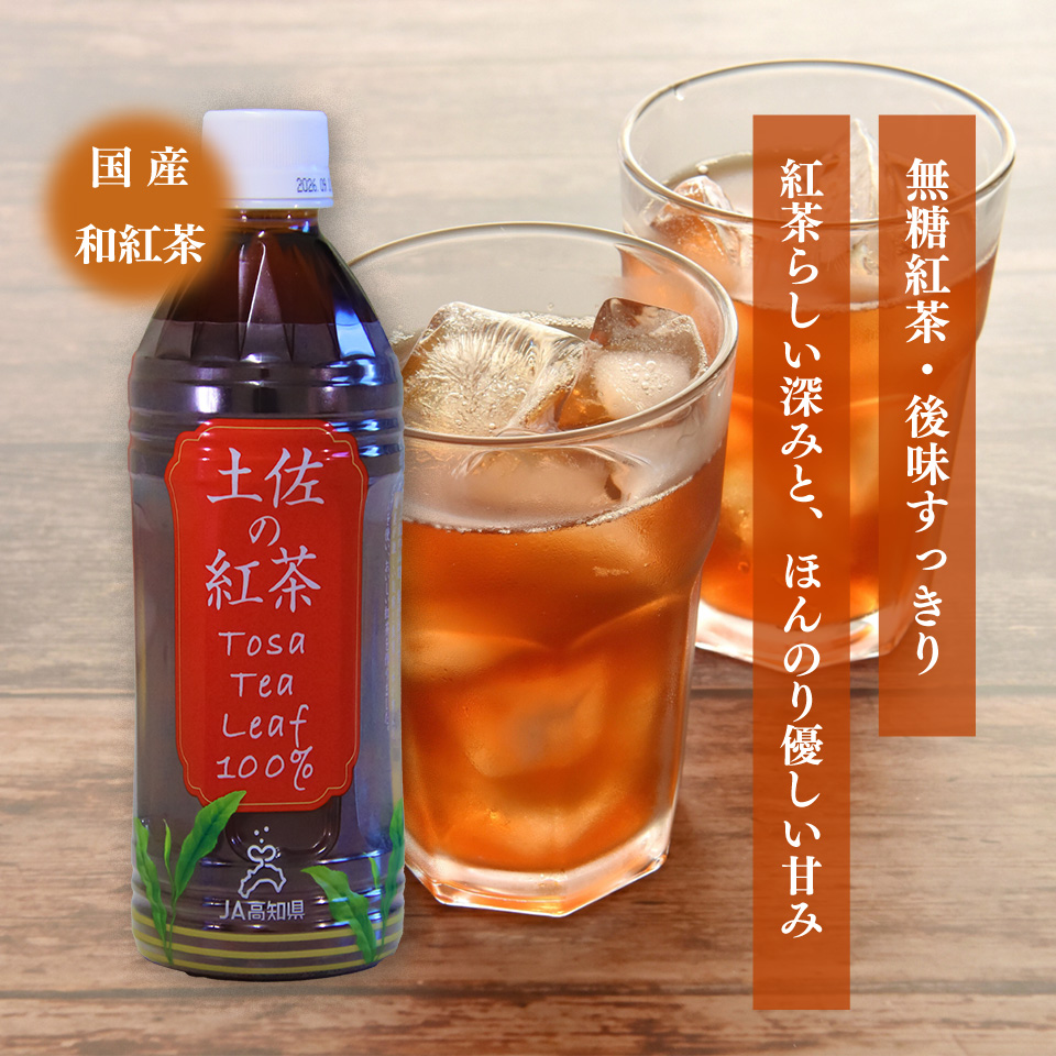 土佐の紅茶 無糖 500ml×24本 1ケース ペットボトル PET お茶 土佐茶 高知 JA高知県 佐川町産茶葉使用