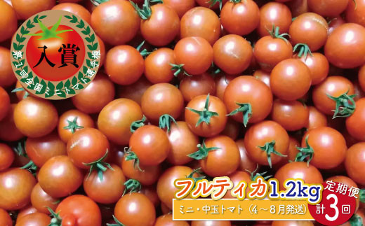 [4月〜8月頃発送][約1.2kg×3回 定期便]訳あり アイメック フルティカ トマト]ましまファーム ミニトマト フルーツトマト [常温]送料無料 ワケあり 規格外