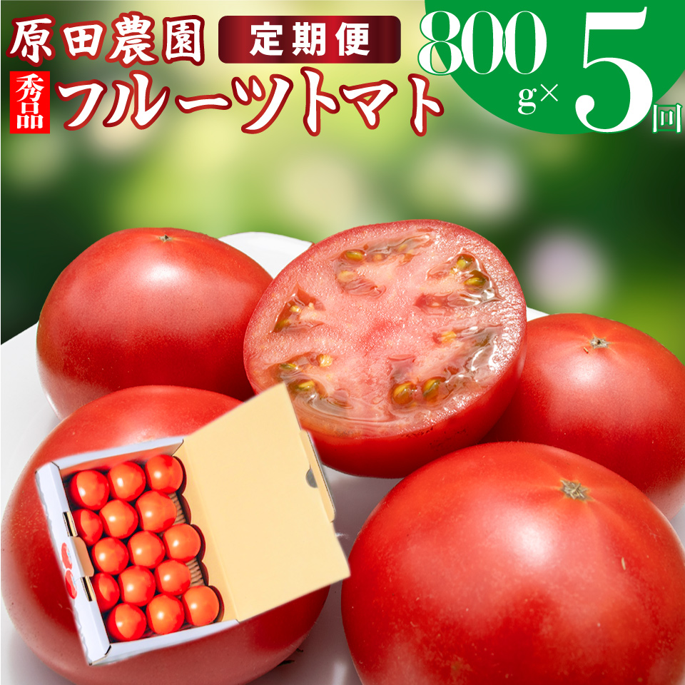 【5回定期便】フルーツトマト 原田農園 約800g 小箱　（12月下旬～5月頃発送）＜2024年12月下旬頃より発送＞＜毎年12月上旬頃まで申込受付＞