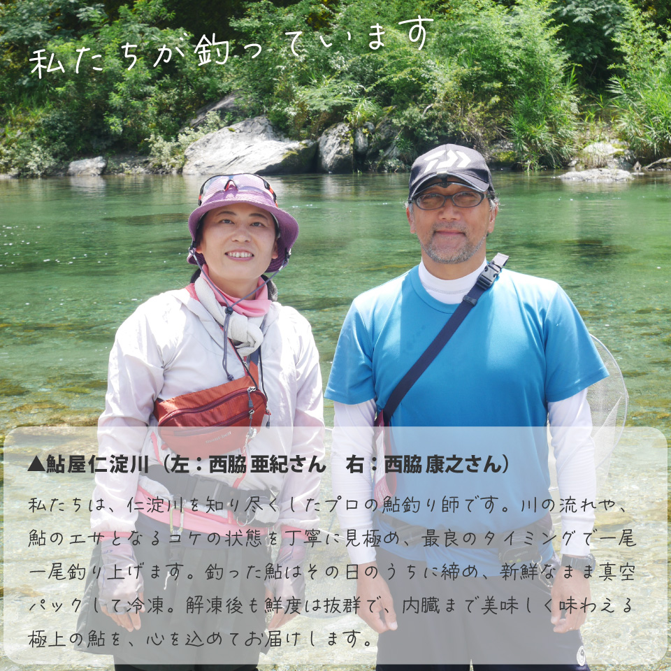 有名料亭も絶賛！鮎屋仁淀川の仁淀ブルー友釣り天然鮎 約1,000g