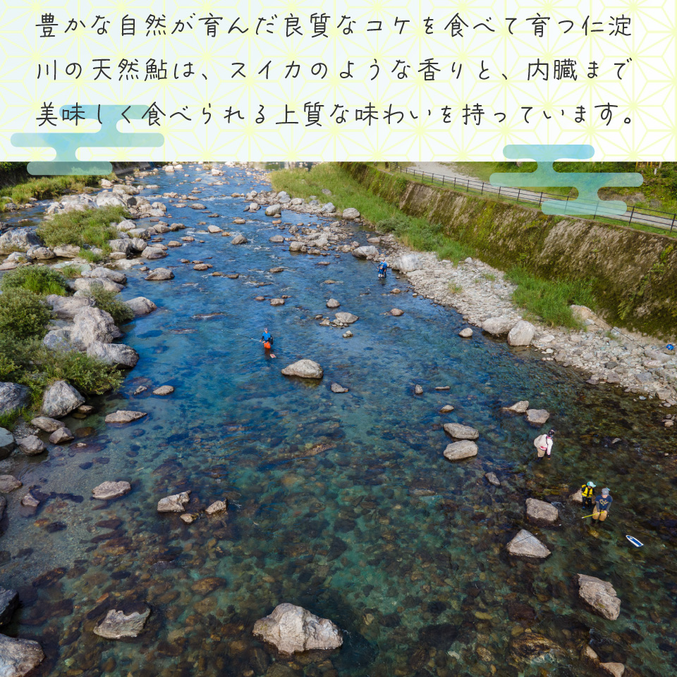 æåæäºãçµ¶è³ïŒé®å±ä»æ·å·ã®ä»æ·ãã«ãŒåé£ã倩ç¶é® çŽ500g