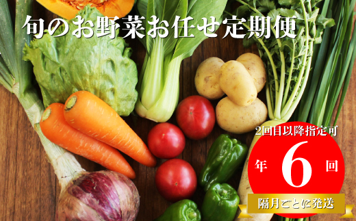 【年6回】高知から直送！旬の季節のお野菜定期便（7~10品）