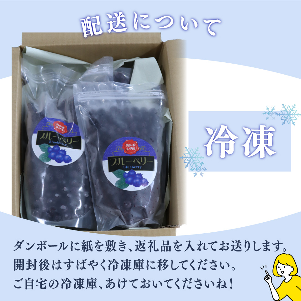 ブルーベリー（冷凍）計2.45kg　栽培中農薬不使用 佐川町産 自然栽培