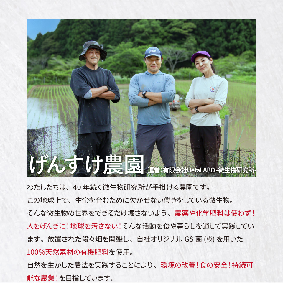 ＜薫る神様のお米 奉納米 縁起米 約3合×1袋＞希少米 香り米 奇跡の復活 ふさなり 栽培期間中、化学農薬化学肥料不使用