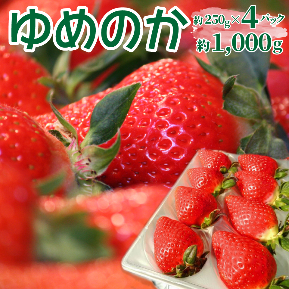 ＜2027年1月頃～3月頃発送（予定）＞【ゆめのか 250g×4パック】秀品 いちご イチゴ 苺 ストロベリー 贈答用 ギフト 佐川町産