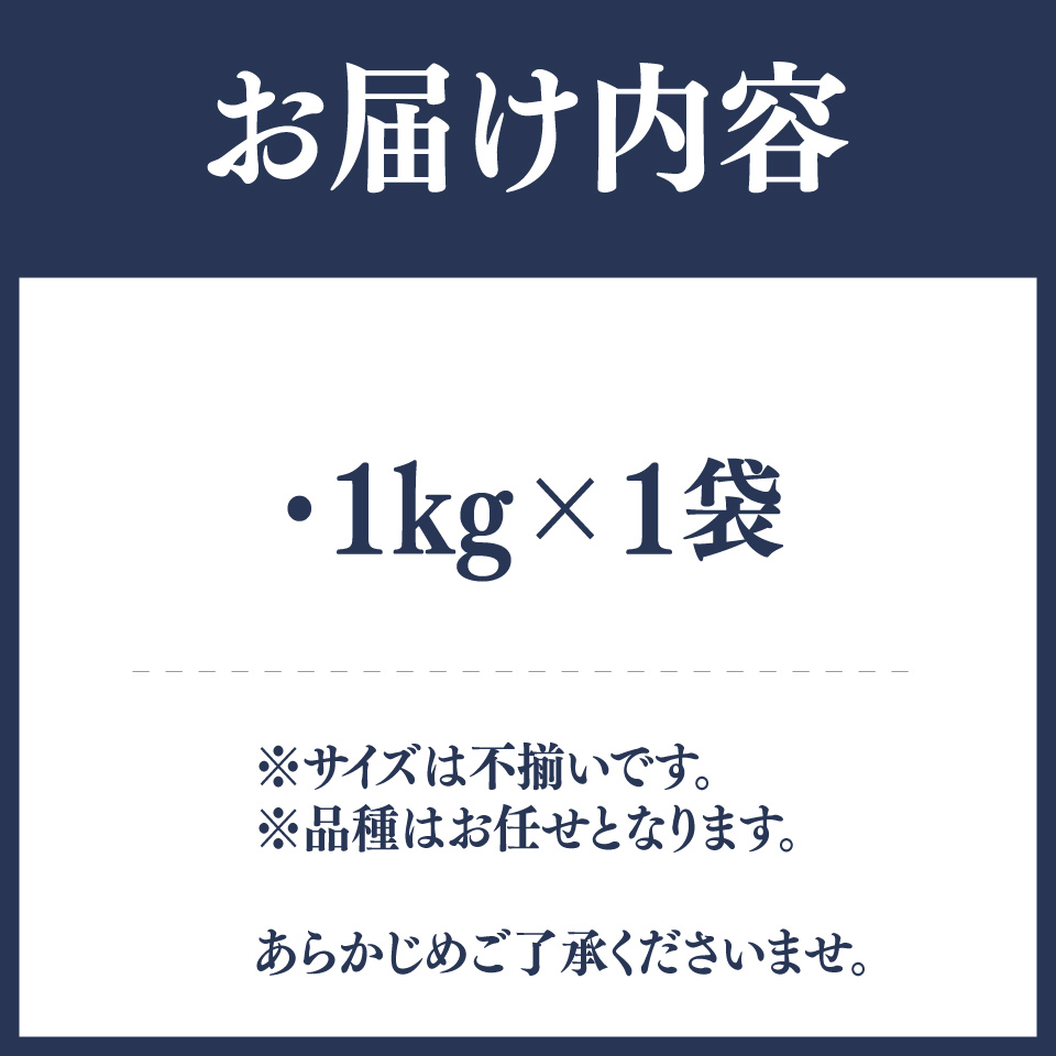【ブルーベリー（冷凍）1kg】＜４～６ヶ月程度で発送予定＞