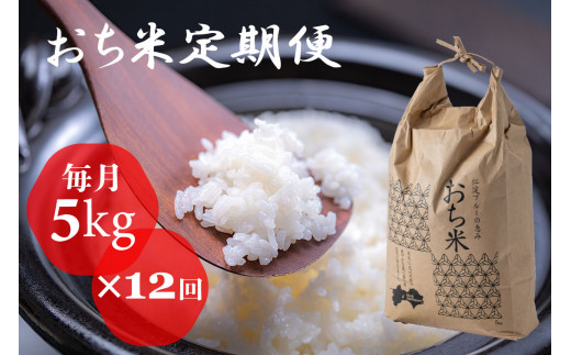 「おち米」定期便　(5kg × 12回)　産直　白米