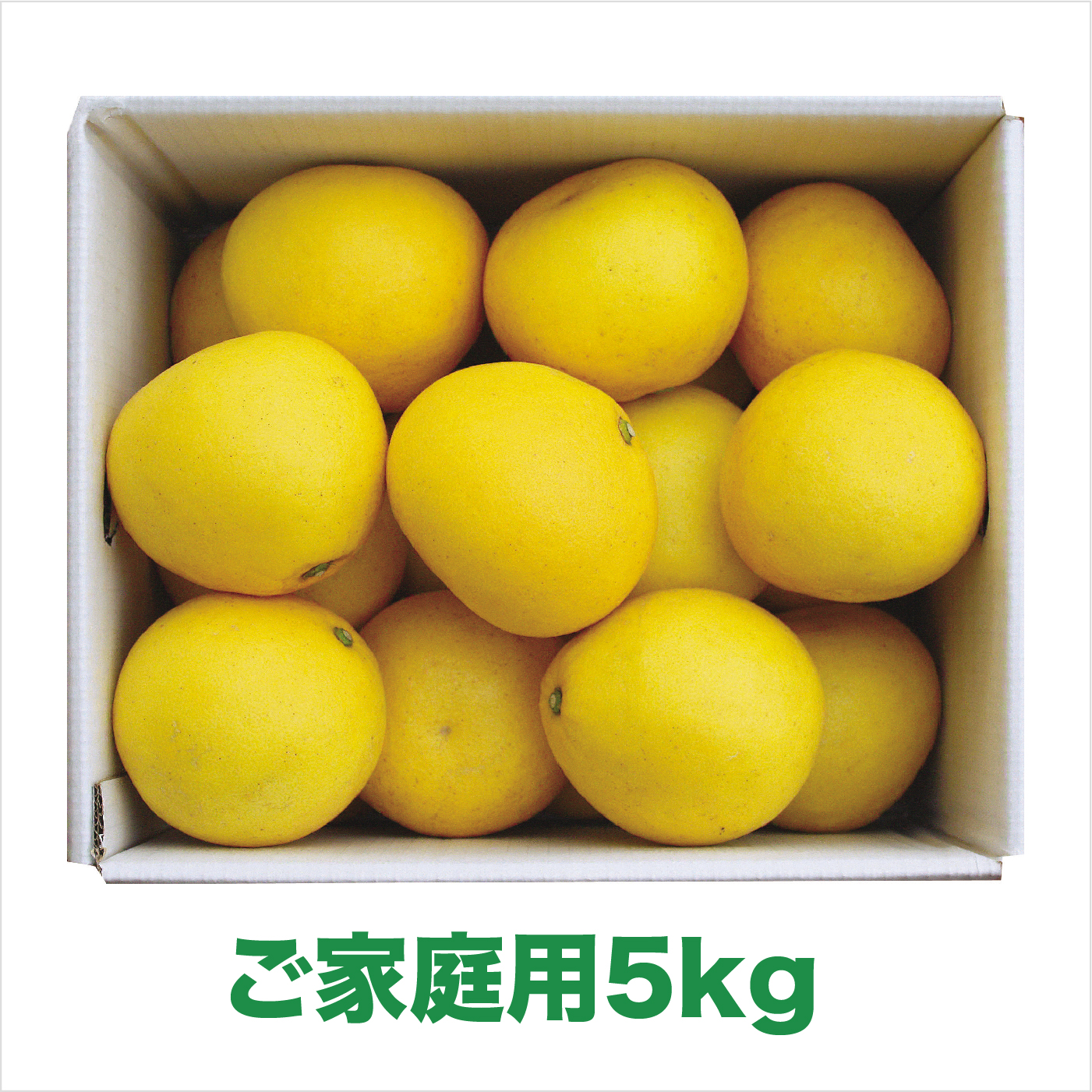 【2026年発送】岡林農園の(家庭用)土佐文旦(約5kg/8～12玉) 栽培期間中 農薬不使用