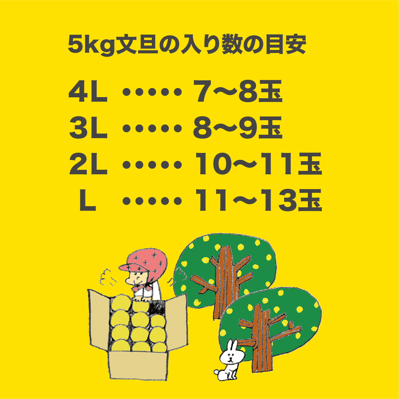 【2026年発送】岡林農園の(家庭用)土佐文旦(約5kg/8～12玉) 栽培期間中 農薬不使用
