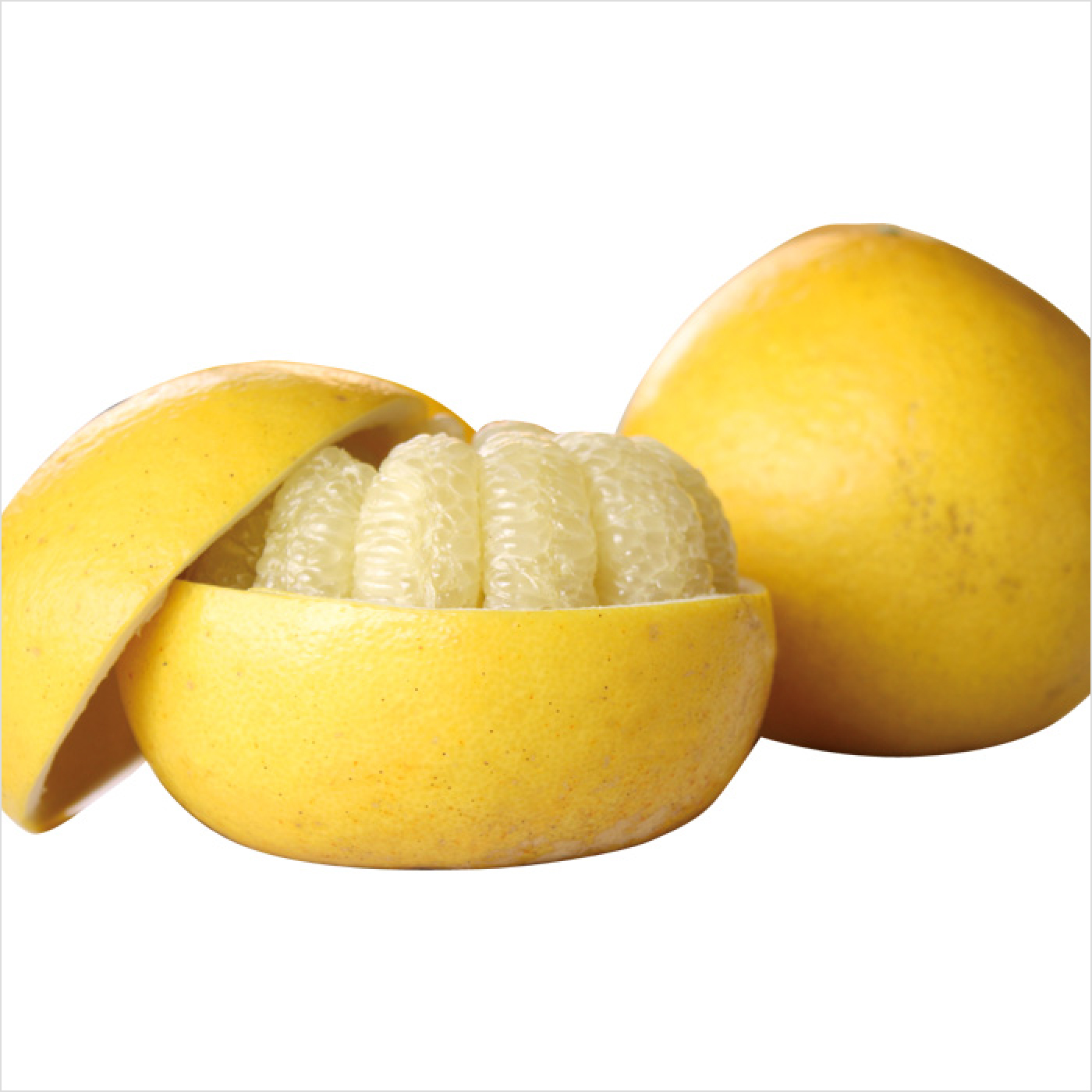 【2026年発送】岡林農園の(家庭用)土佐文旦(約5kg/8～12玉) 栽培期間中 農薬不使用