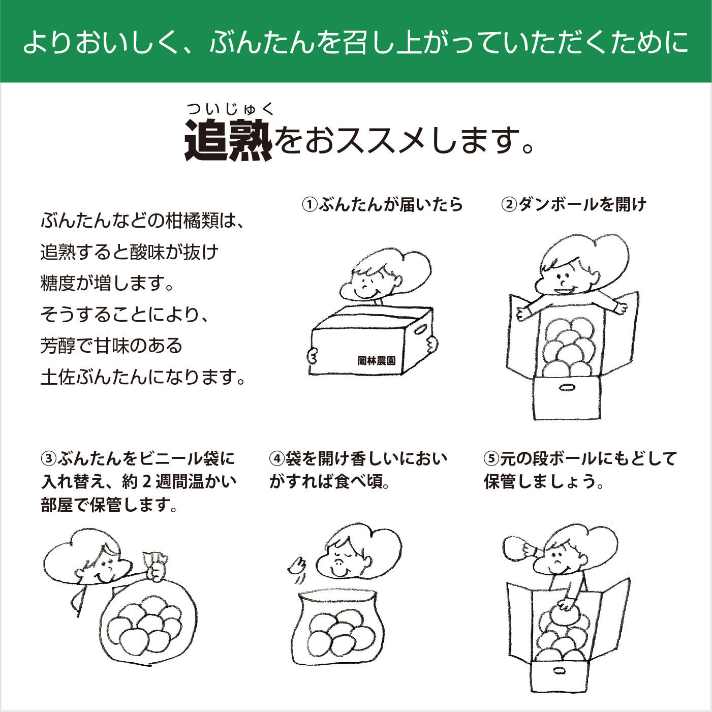 【2026年発送】岡林農園の(家庭用)土佐文旦(約5kg/8～12玉) 栽培期間中 農薬不使用