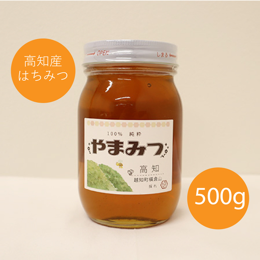 越知町産　はちみつ　国産　500ｇ（西洋みつばち）