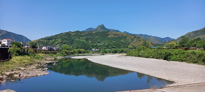 「おばあちゃん秘伝のタレ」付き　かつおのたたき