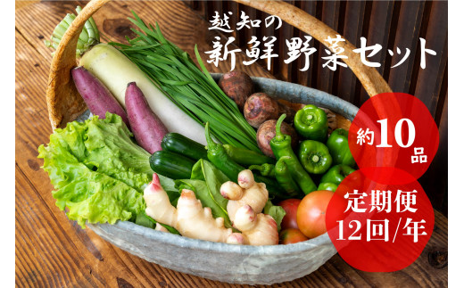 越知産市の季節の野菜セット(年12回発送)