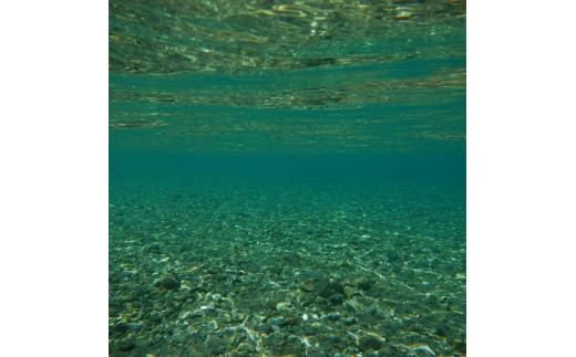 ラフティング券（アルティメットリバー ２名）