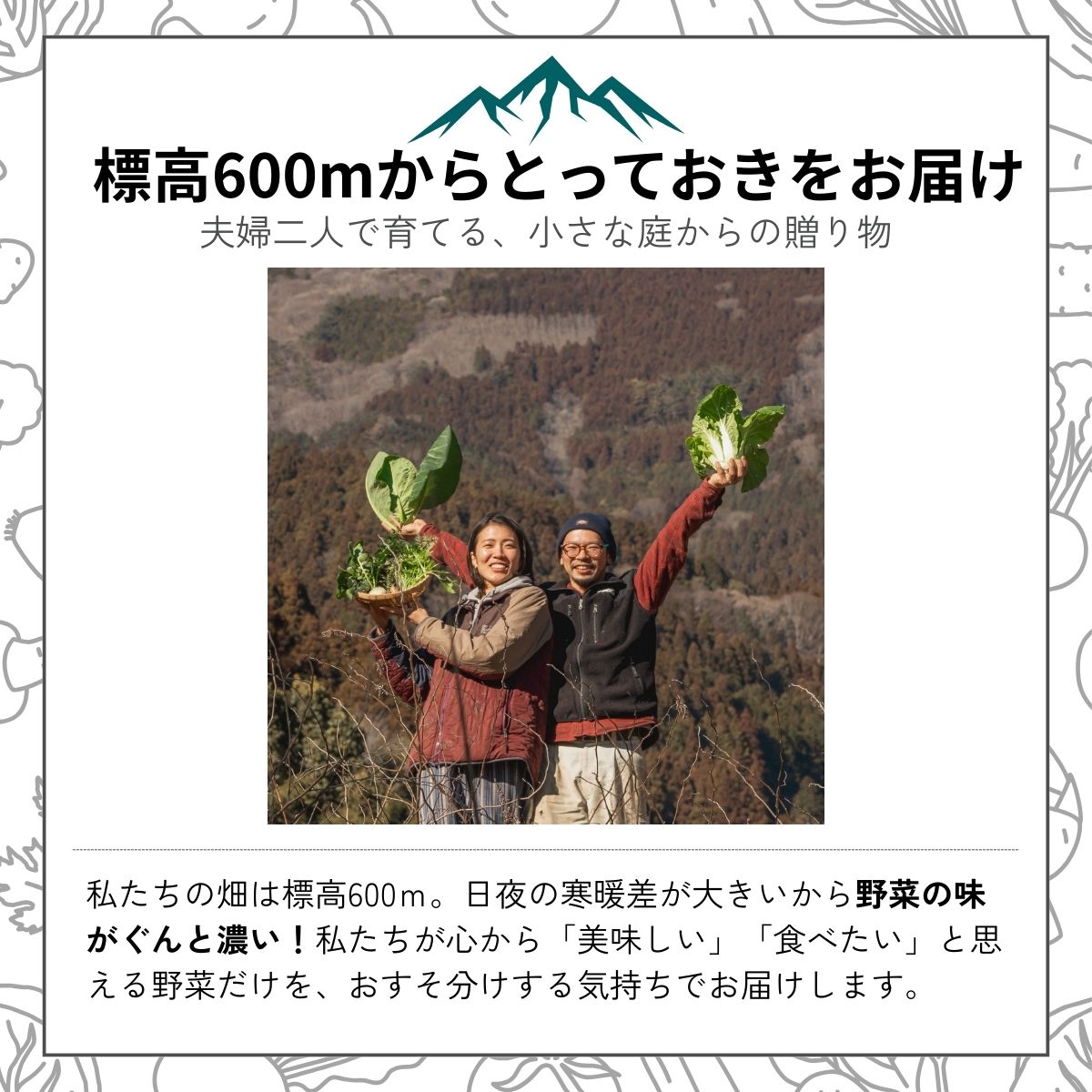 蟲è¬ååŠè¥æäžäœ¿çš é²ã®äžã¬ãŒãã³ã®ãŽããŽãéèã»ããïŒïŒåãå±ãïŒå£ç¯ã«ããããŠ10åç®ååŸãæ¯æãå±ããL002ãå£ç¯ æ¬ è©°ãåãã æ¡ãã㊠æ°é®® ç£å°çŽé é«ç¥çç£ å·èµäŸ¿ å®æäŸ¿