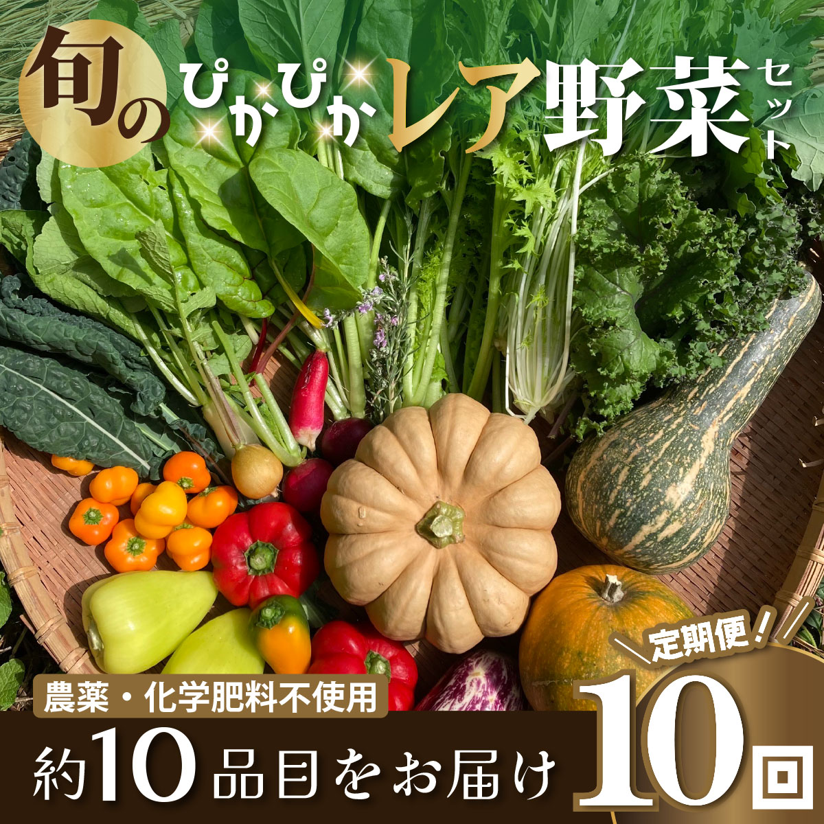 農薬化学肥料不使用 雲の上ガーデンのぴかぴか野菜セット（10回お届け）季節にあわせて10品目前後を毎月お届け【L003】季節 旬 詰め合わせ 採れたて 新鮮 産地直送 高知県産 冷蔵便 定期便