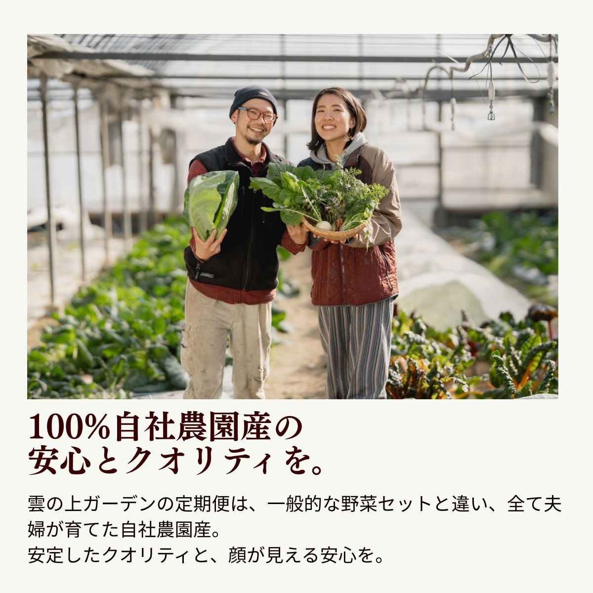 農薬化学肥料不使用 雲の上ガーデンのぴかぴか野菜セット（10回お届け）季節にあわせて10品目前後を毎月お届け【L003】季節 旬 詰め合わせ 採れたて 新鮮 産地直送 高知県産 冷蔵便 定期便